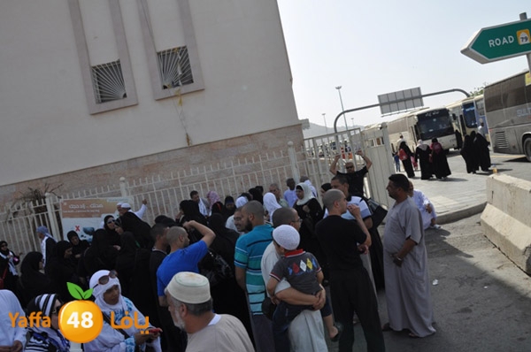 3omranewyaffa326 (23).JPG